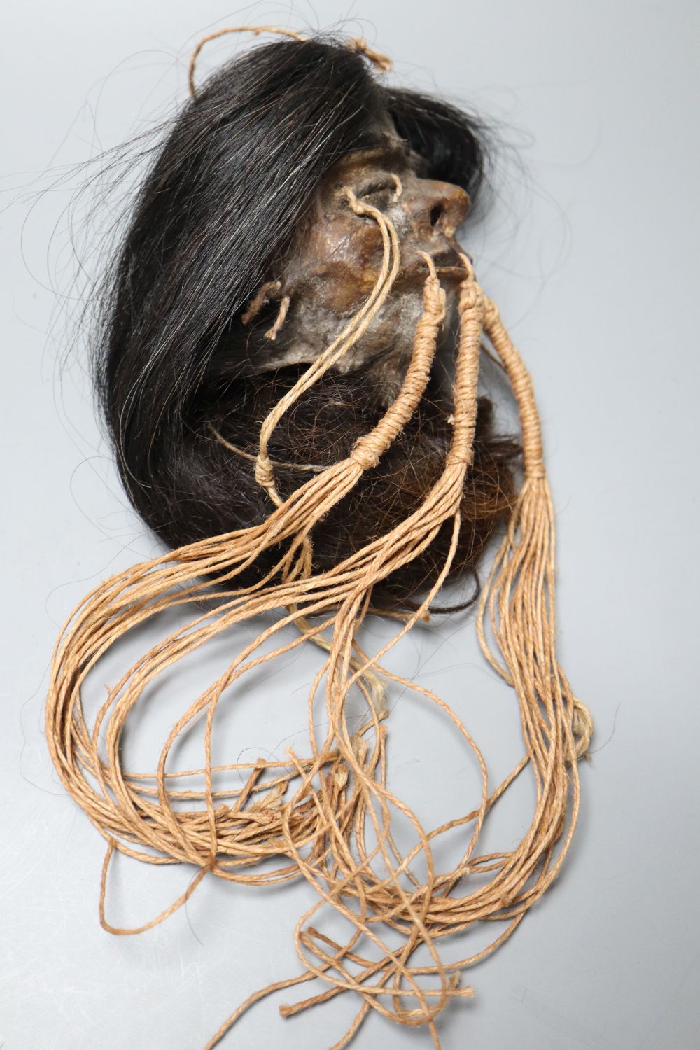 A model of a shrunken head